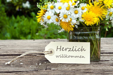 Portraits neue Mitarbeitende