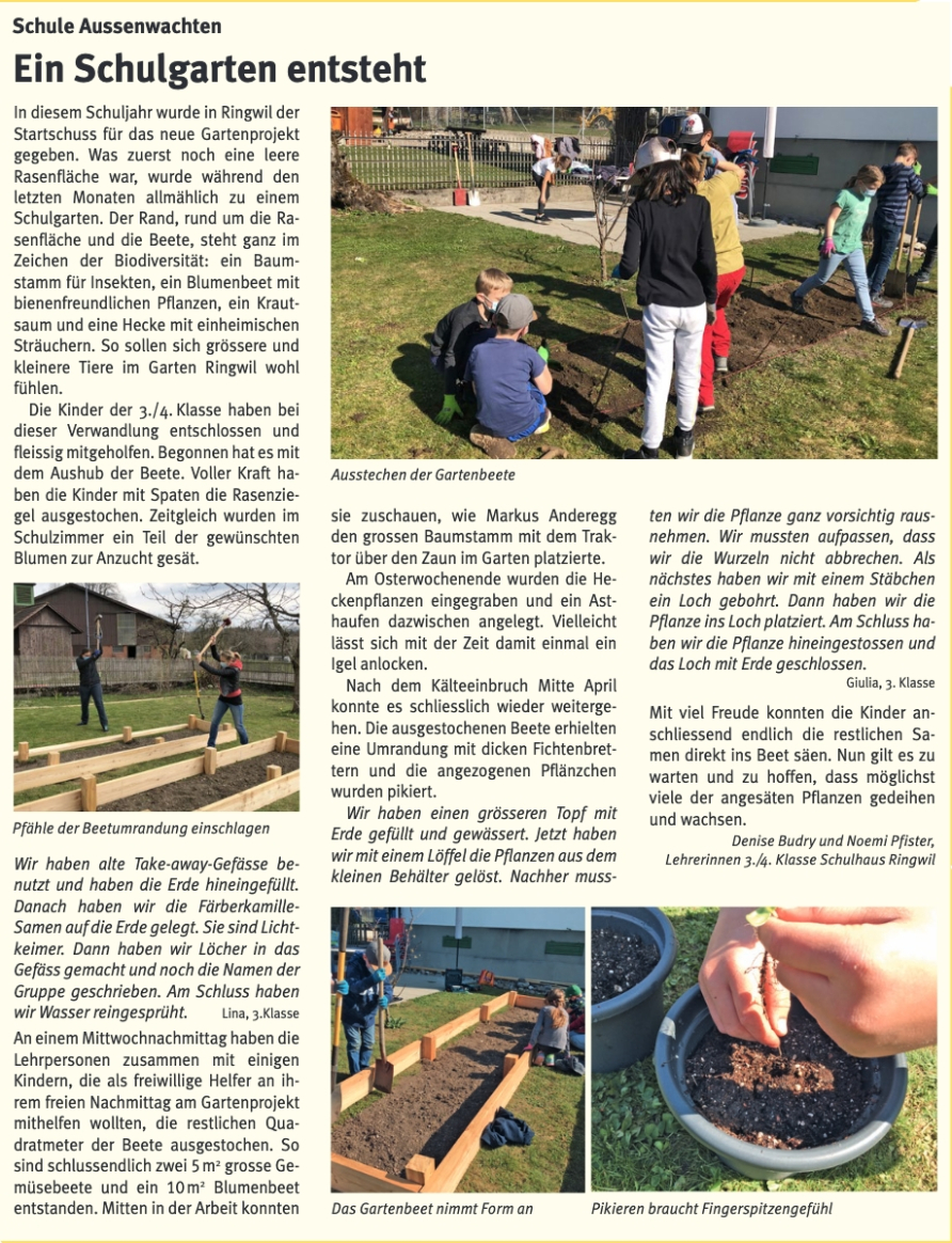 Ringwil News